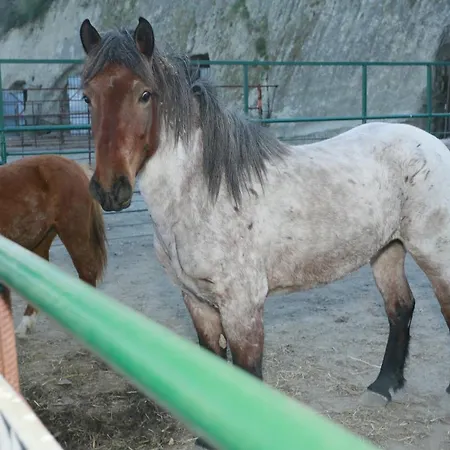 Hotel Cascine E Dintorni