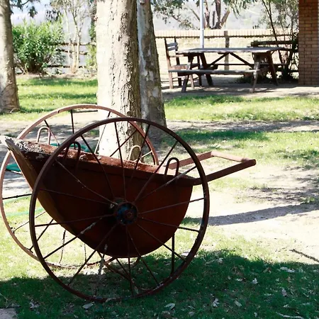 ホテル Cascine E Dintorni 3*